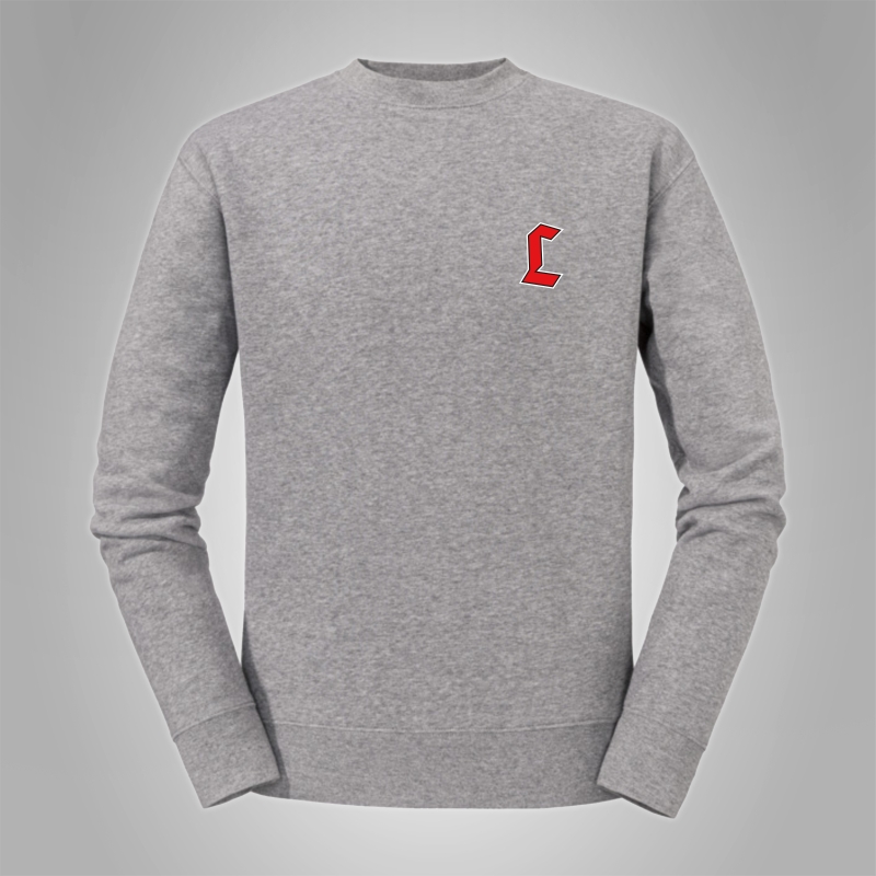Pullover L! Dezent